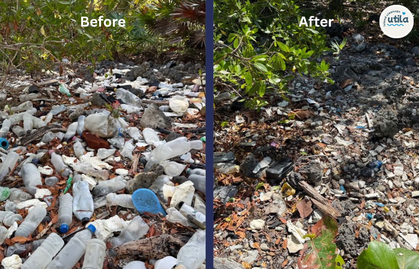 Detailed before and after of plastic removal on February 21st 2026