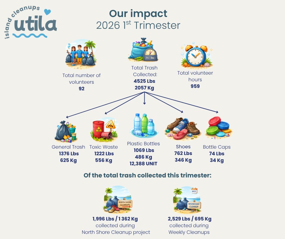 Quarterly Impact Summary